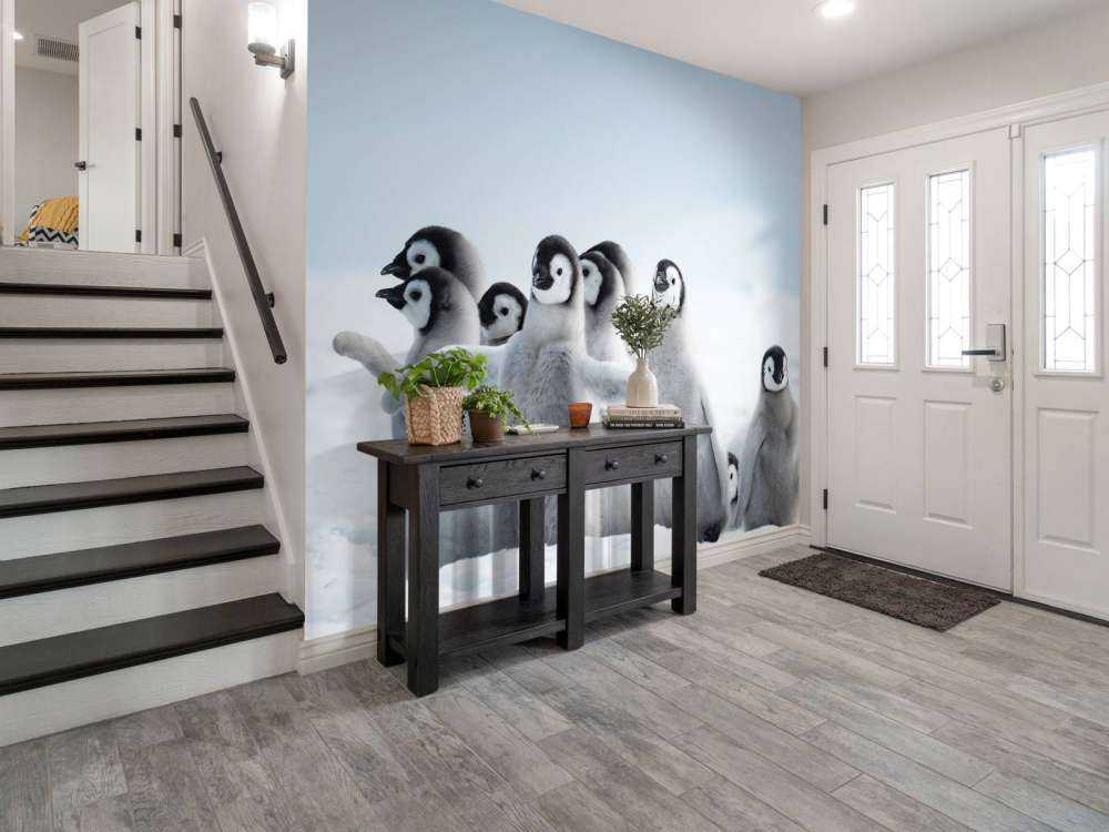 Keizerspinguïns in de sneeuw