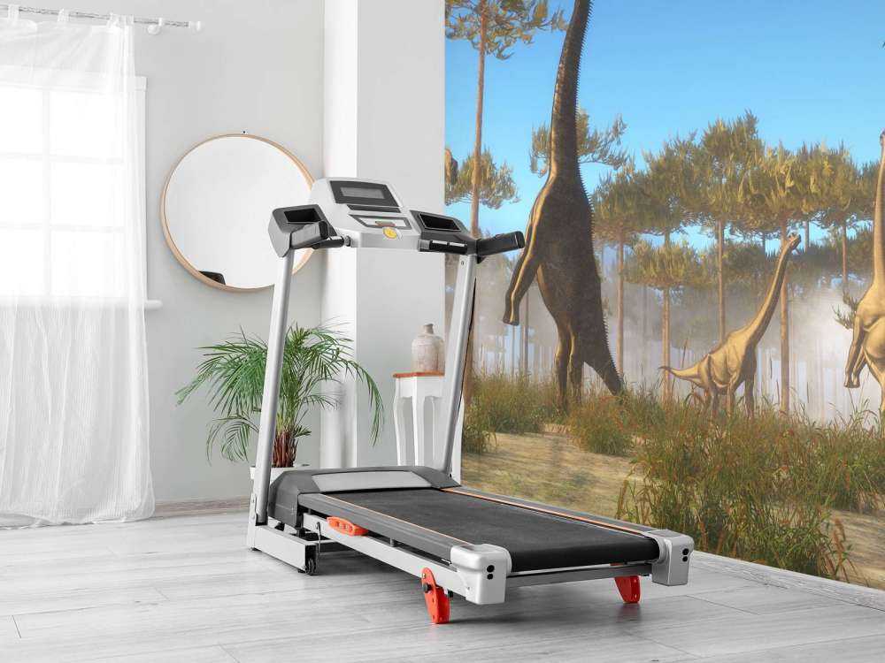 Dinosaurussen in de mist