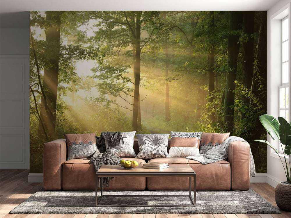 Mistige bosweg bij zonsopkomst