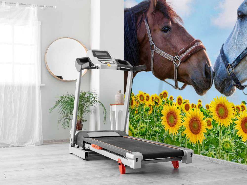 Liefdevolle paarden in een zonnebloemveld