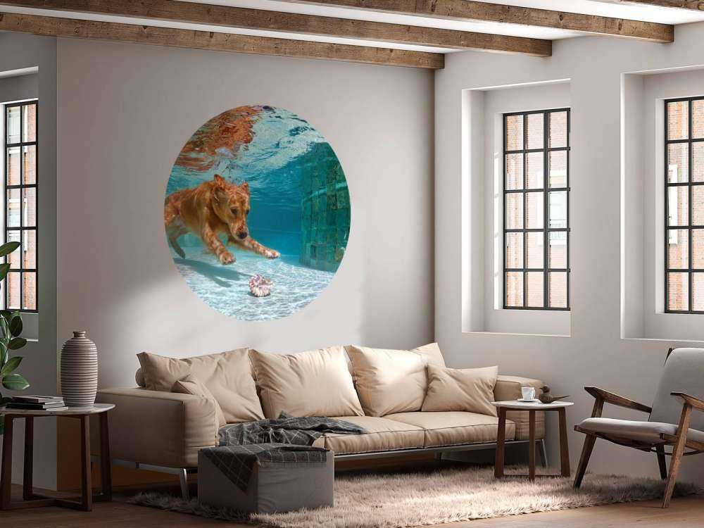 Labrador speelt onderwater