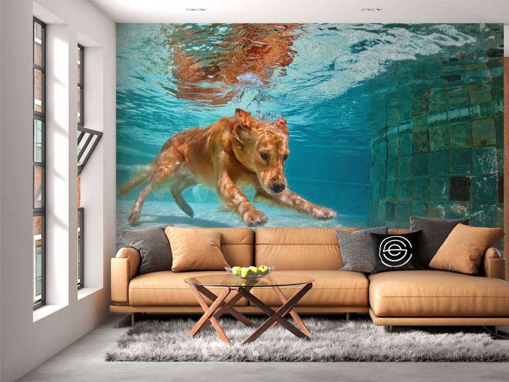 Labrador speelt onderwater