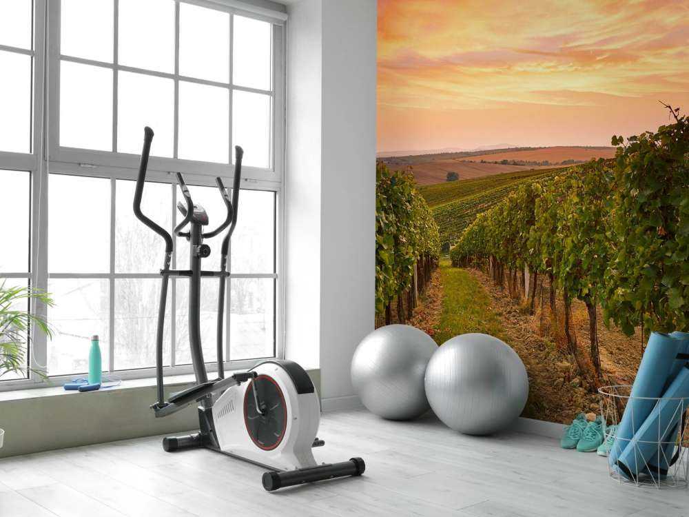 Wijngaard bij zonsondergang