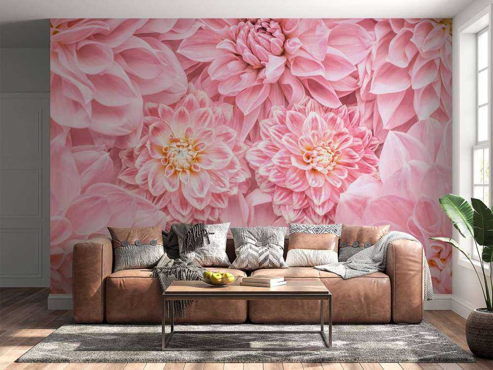 Roze bloemen met een gele kern