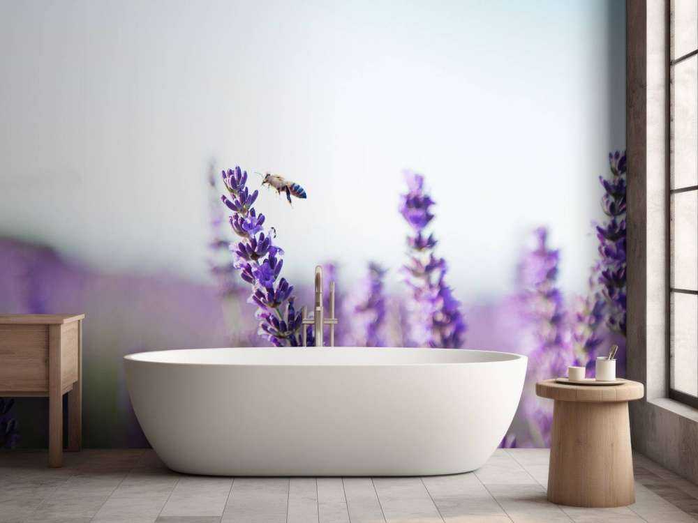 Lavendel steel close-up