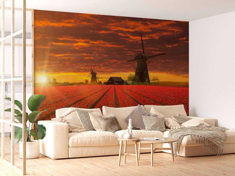 Hollands tulpenveld onder een rode lucht