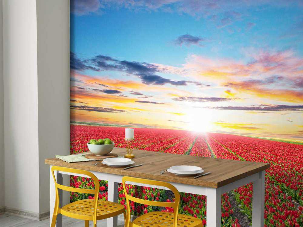 Rode tulpenveld bij zonsopkomst