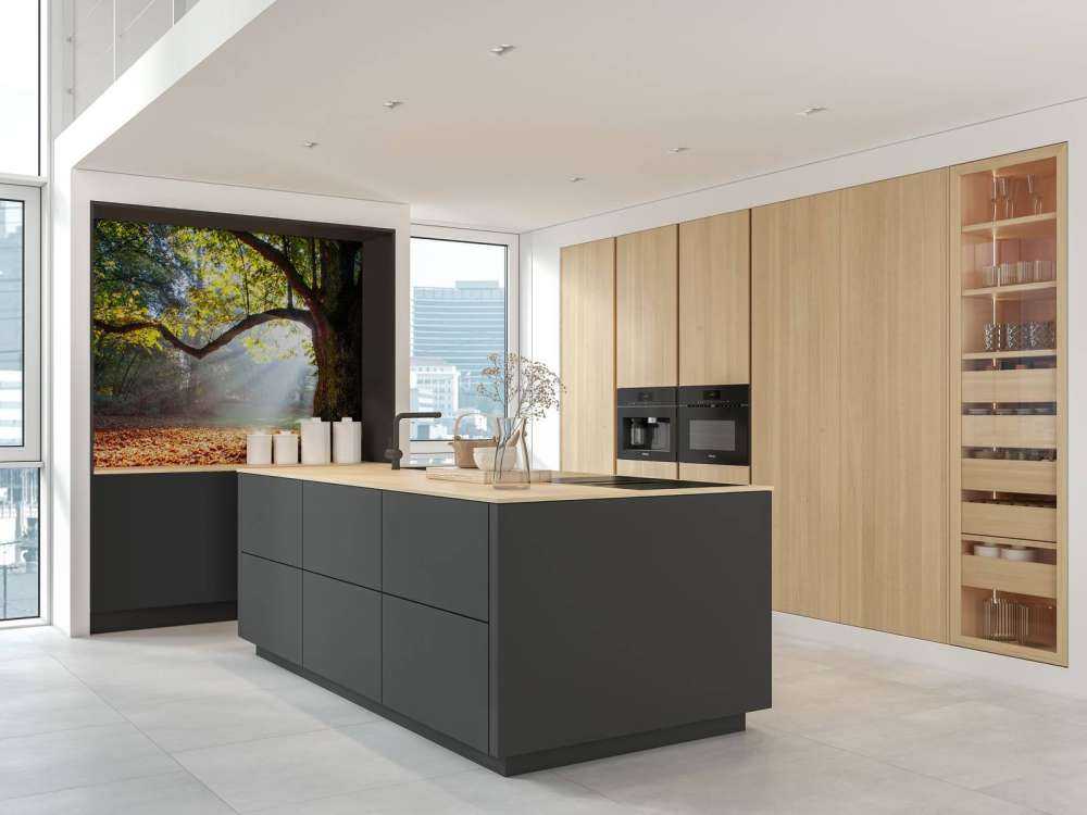 Mooie Eik in het Bos