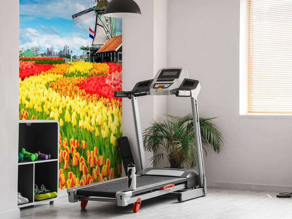 Kleurrijke tulpen creatie