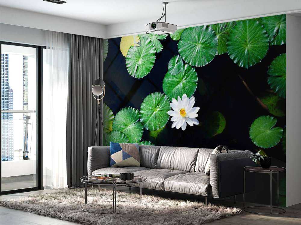 Opvallende witte kleine lotusbloem