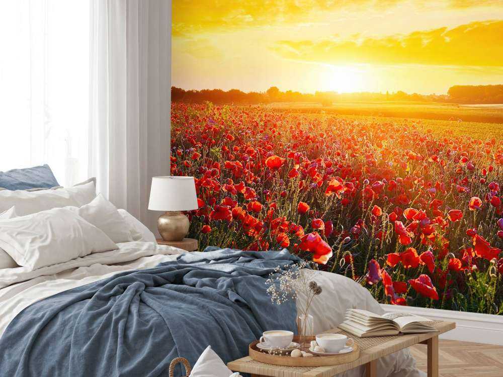 Klaprozen en zonsondergang