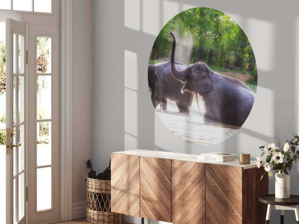 olifanten spelen in het water