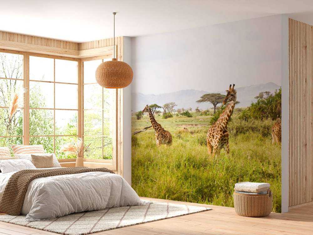 Giraffen in Tanzania