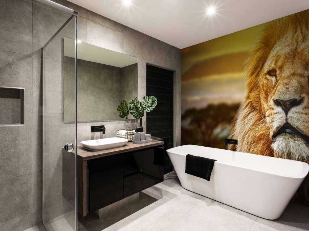 Leeuw in een savanne landschap