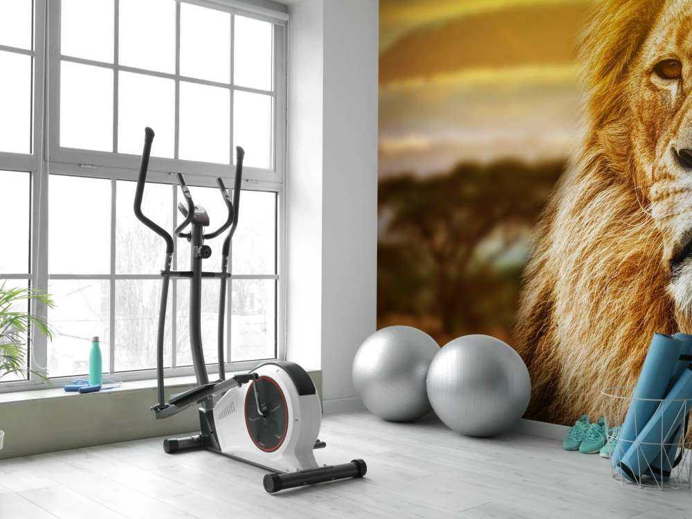 Leeuw in een savanne landschap