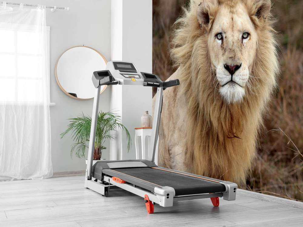 Harige Leeuw in de natuur