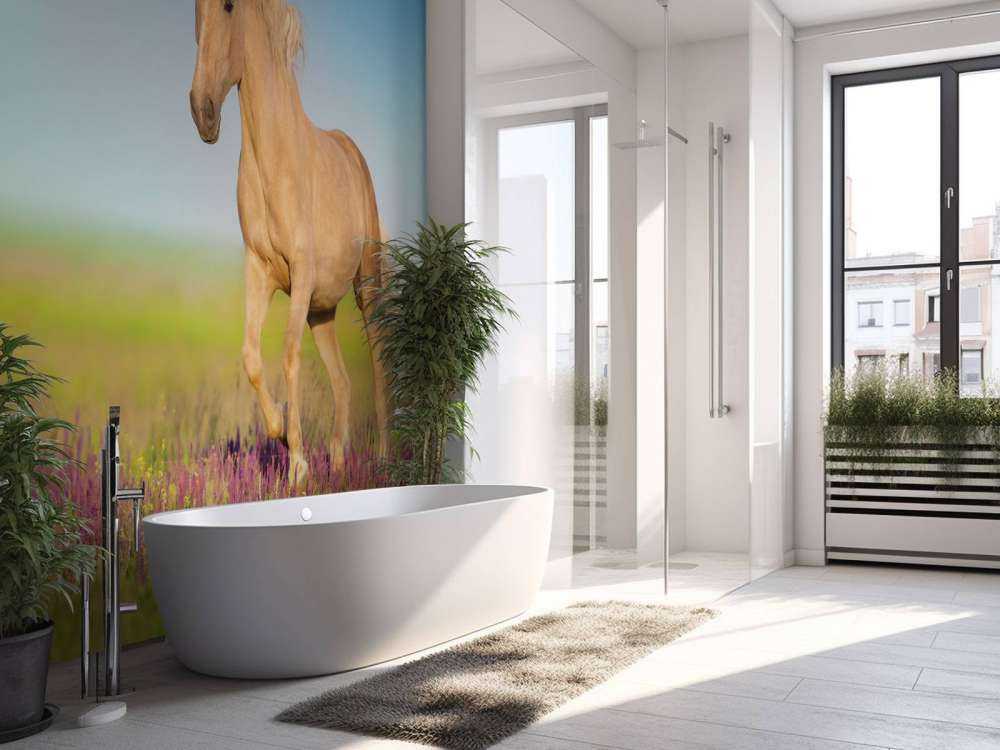 Cremello Paard in weide