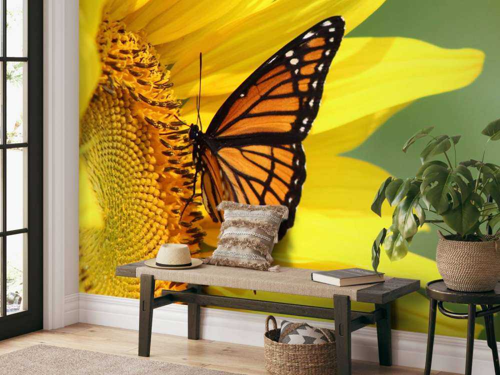 Oranje Vlinder op Zonnebloem