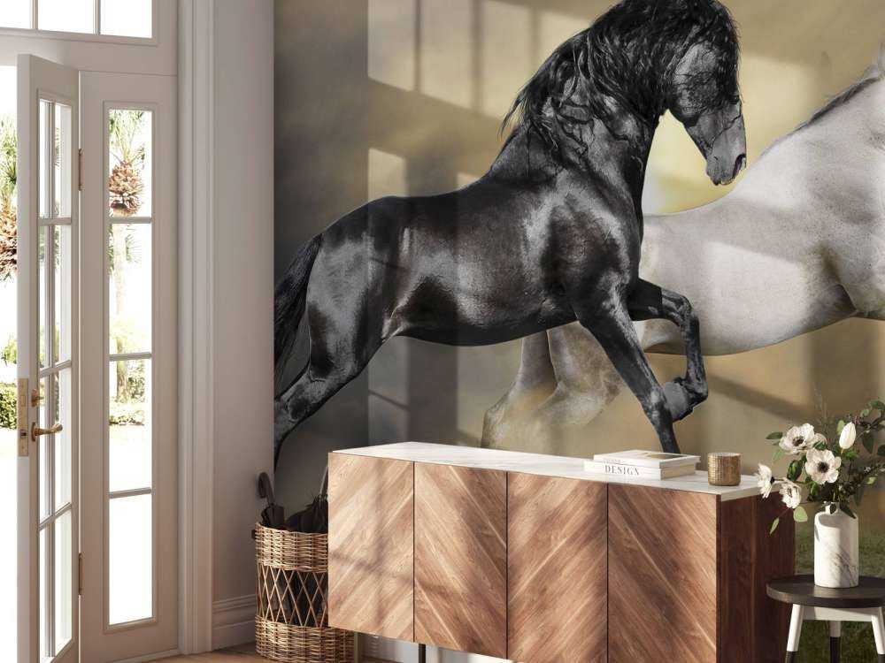 Zwart & Wit Paard op Gras