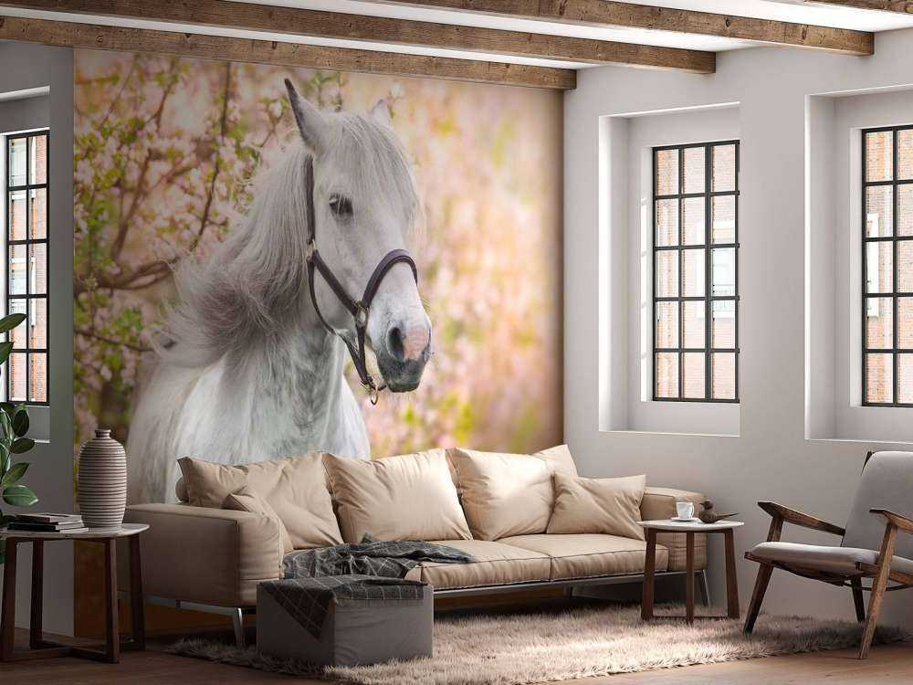 Wit Paard met Bloesem in Lente