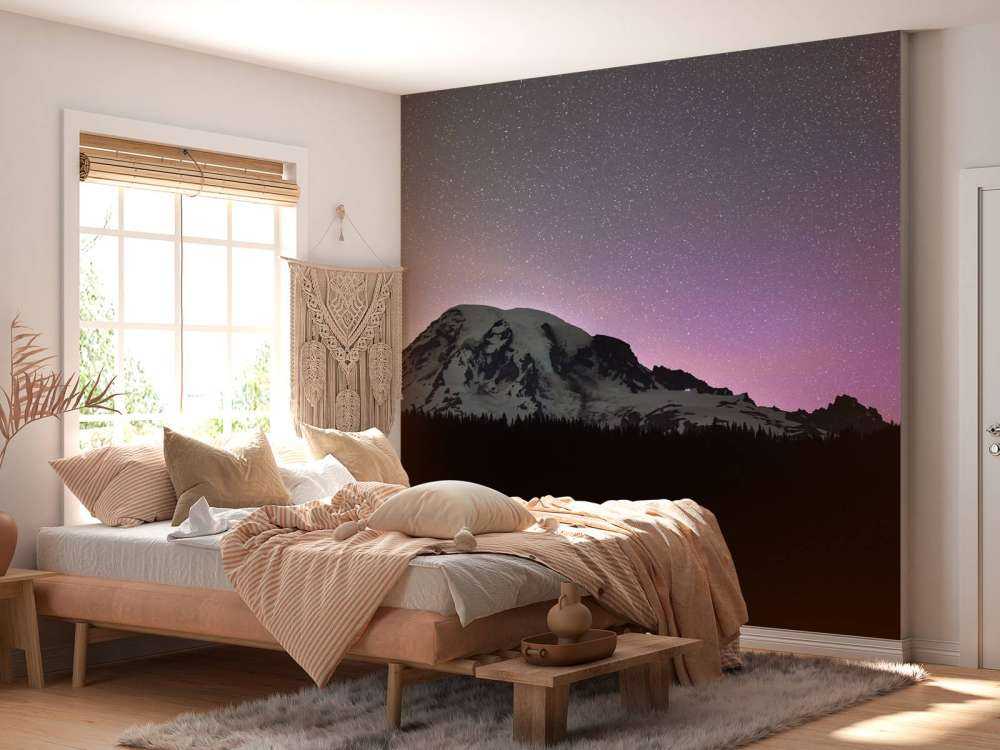 Mount Rainier met noorderlicht