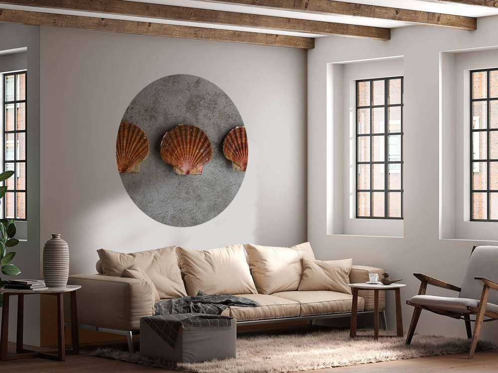 Drie schelpen