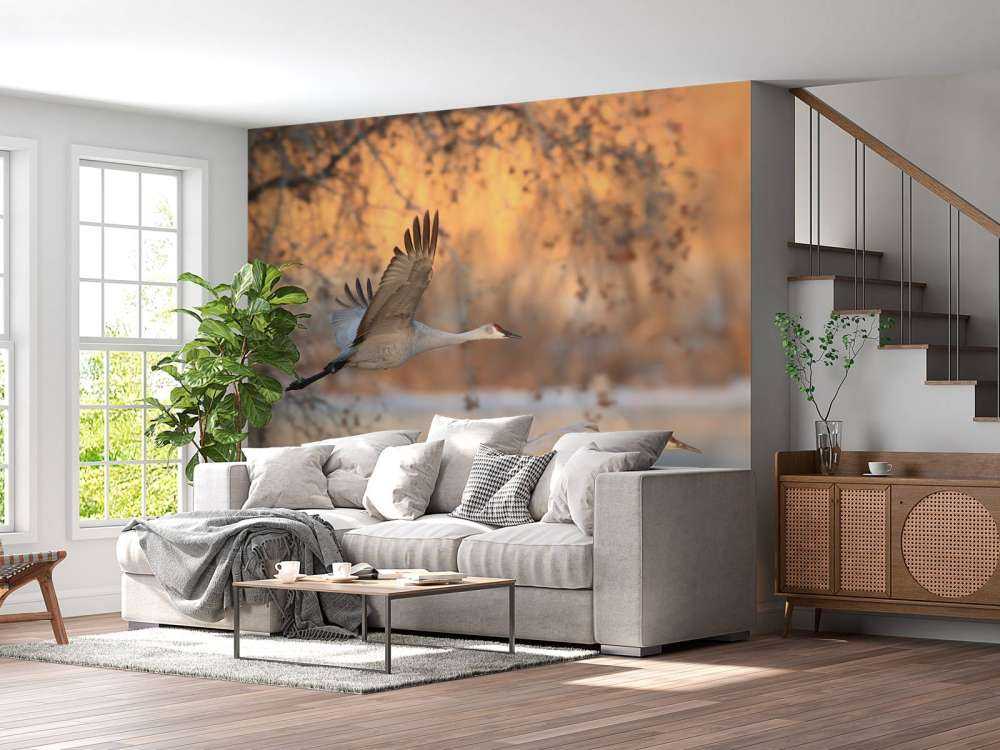 Vliegende kraanvogels