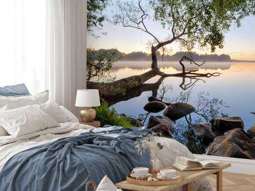 Lake view