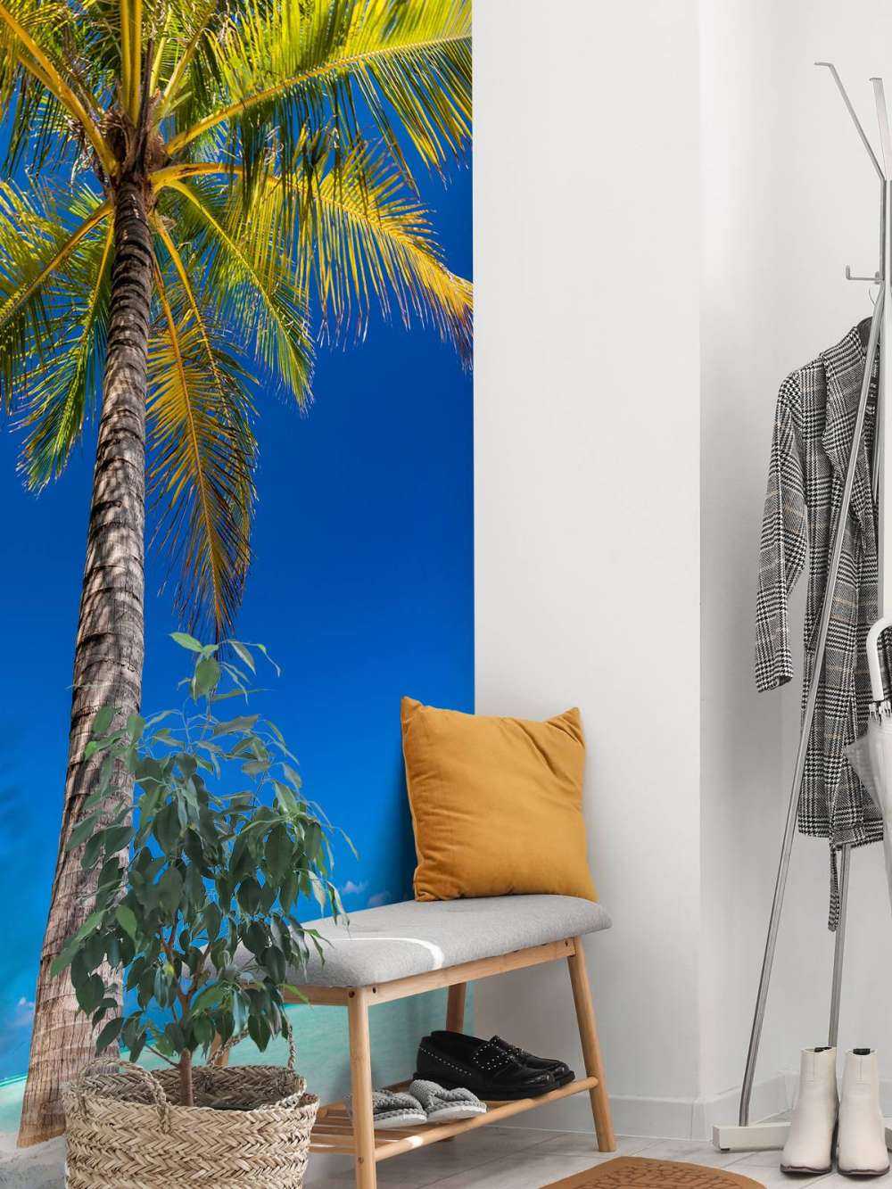 Palmboom op de Malediven