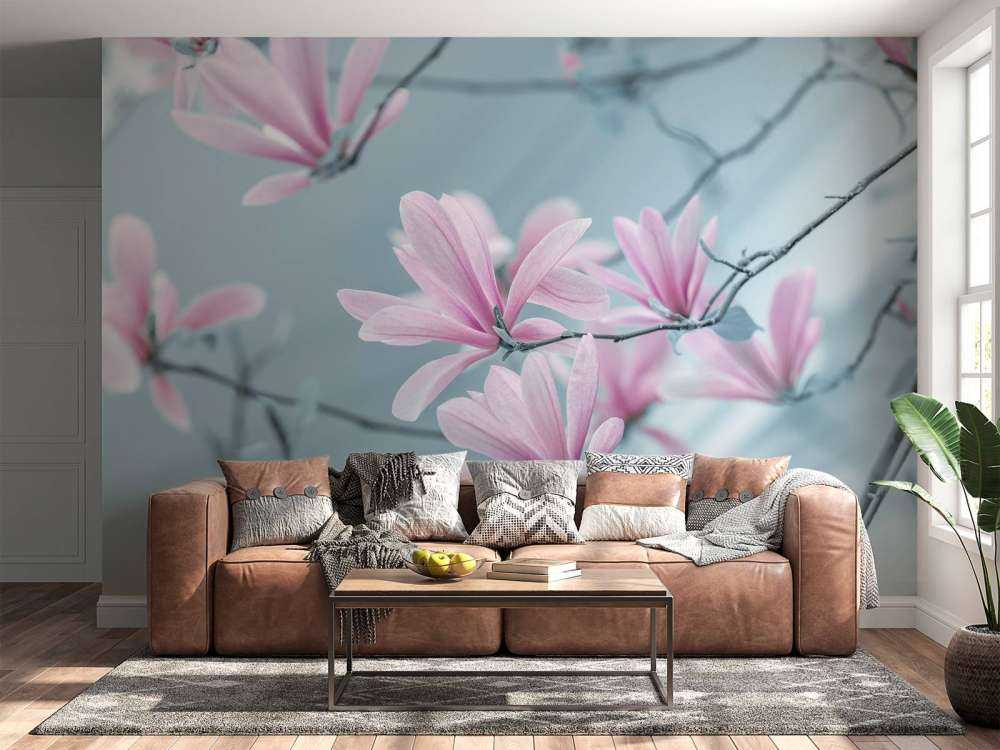 Magnolia bloemen