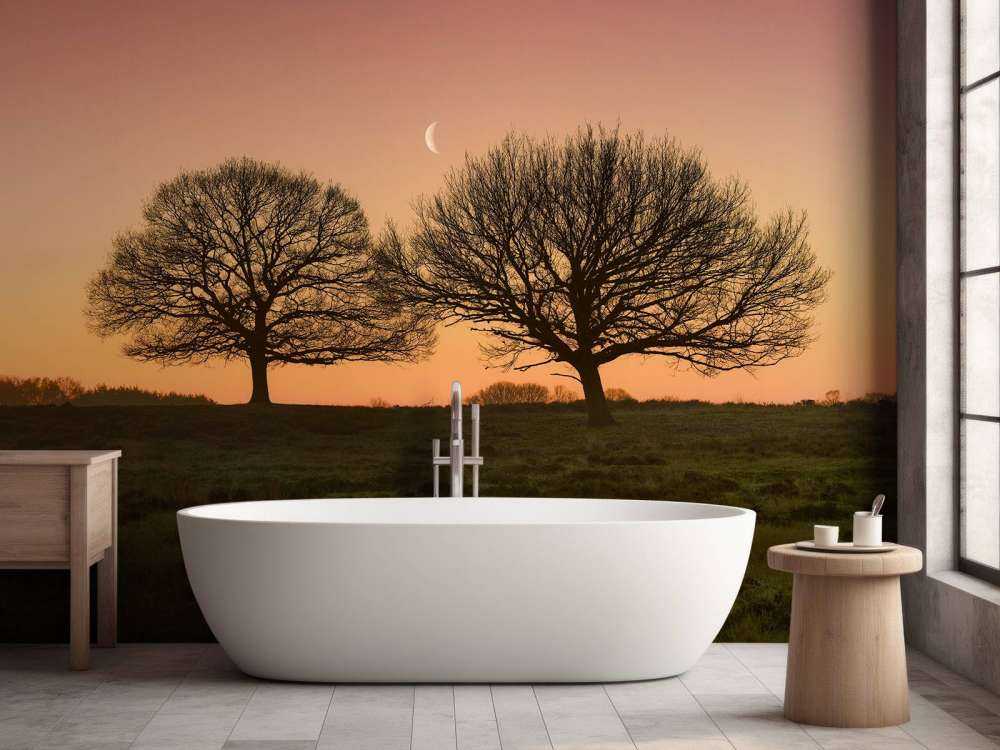 Maantje tussen de bomen