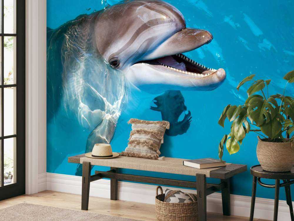 Vriendelijke dolfijn