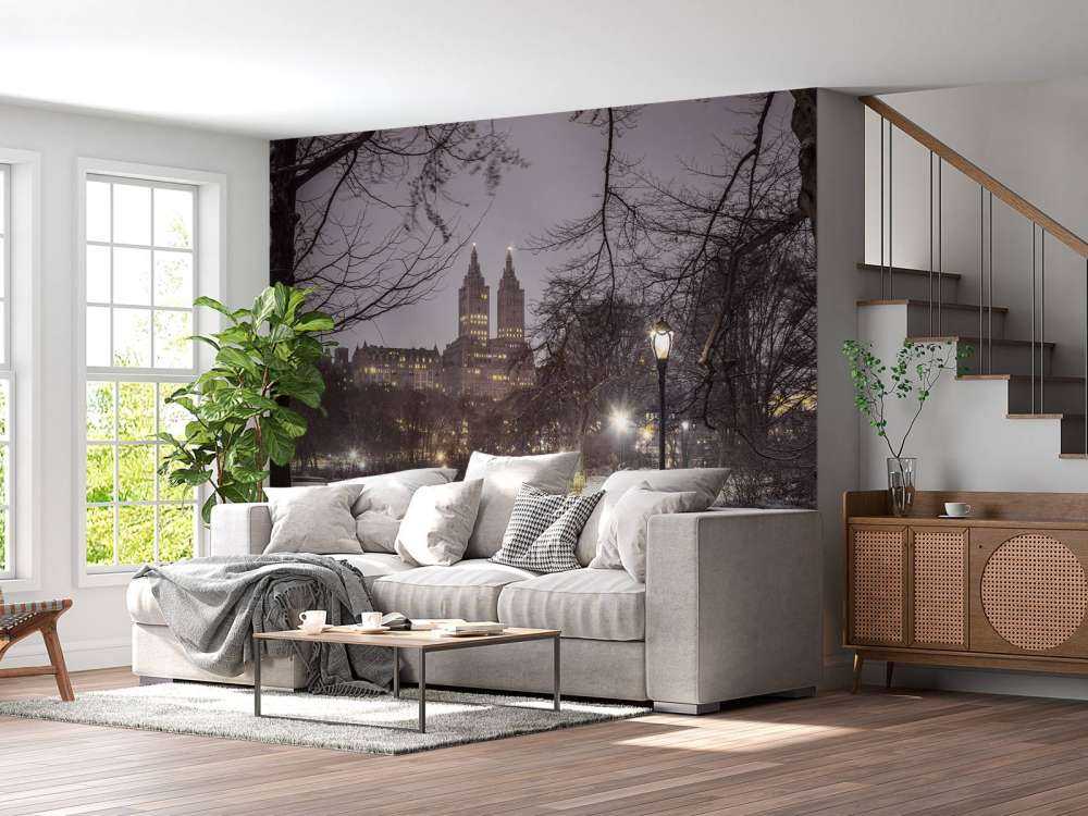 Besneeuwd Central park