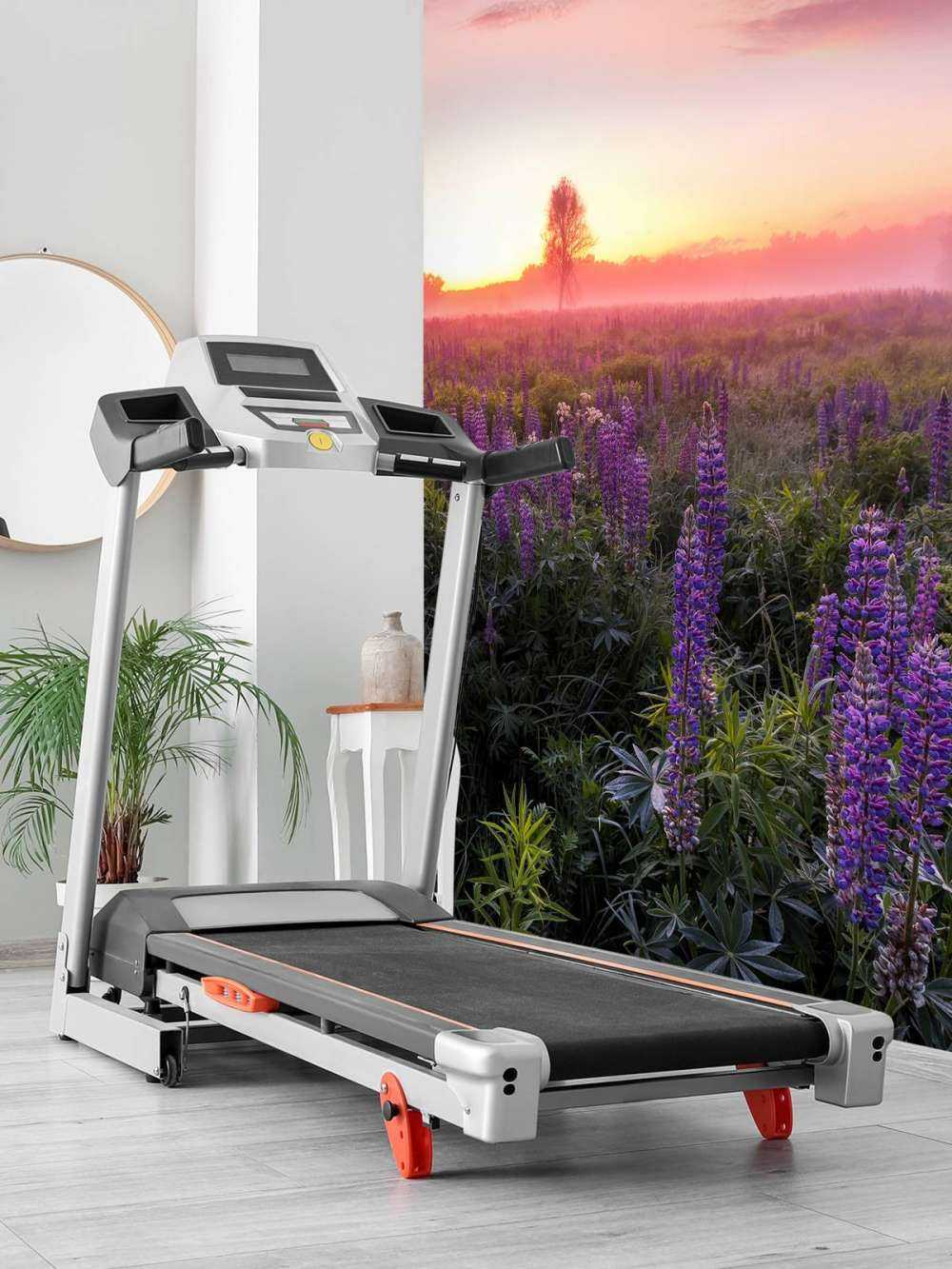 Bloeiende lupines