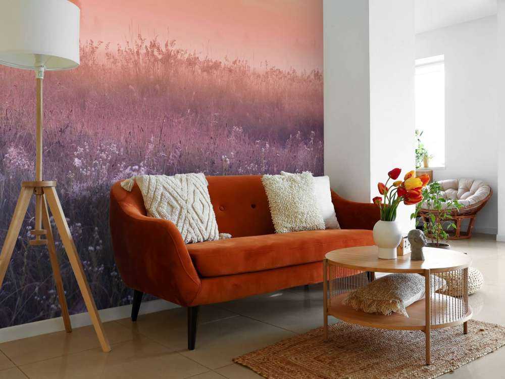 Veld met ochtendnevel