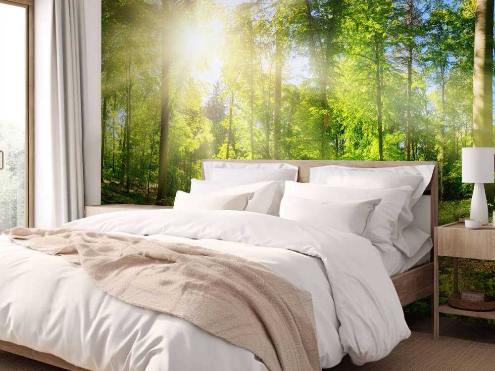 Bos met zonnestralen