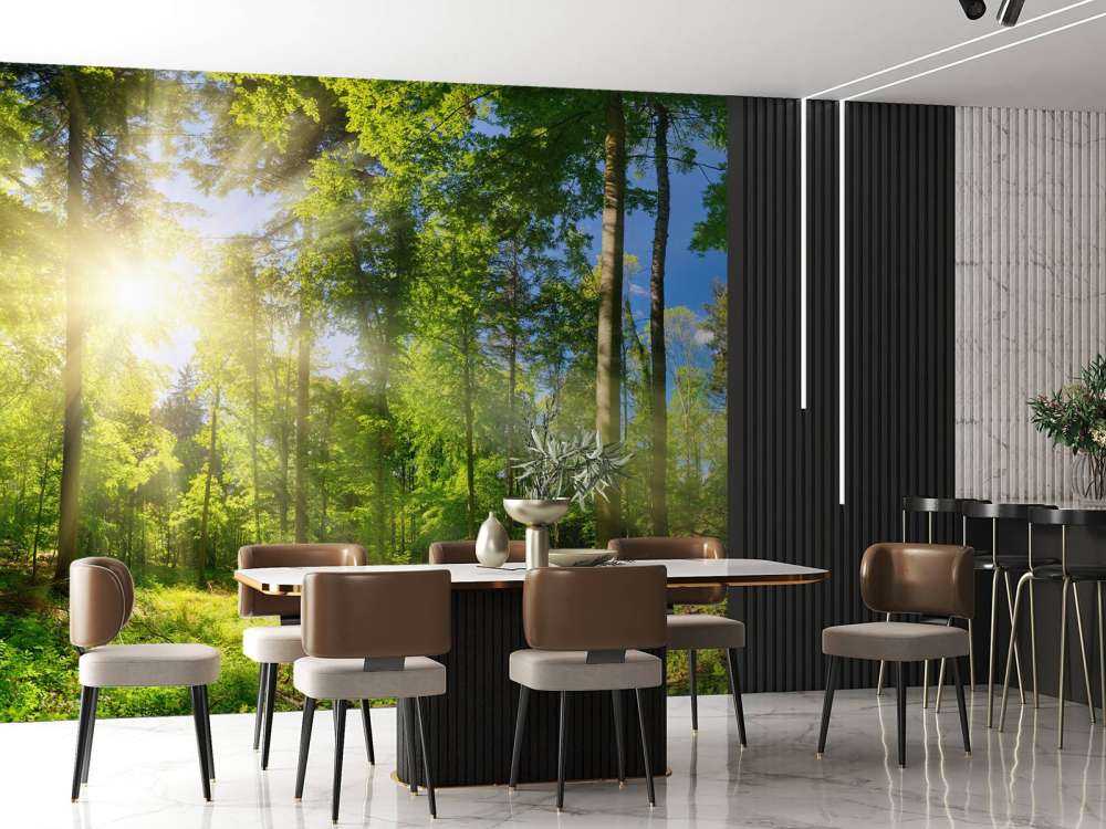 Bos met zonnestralen