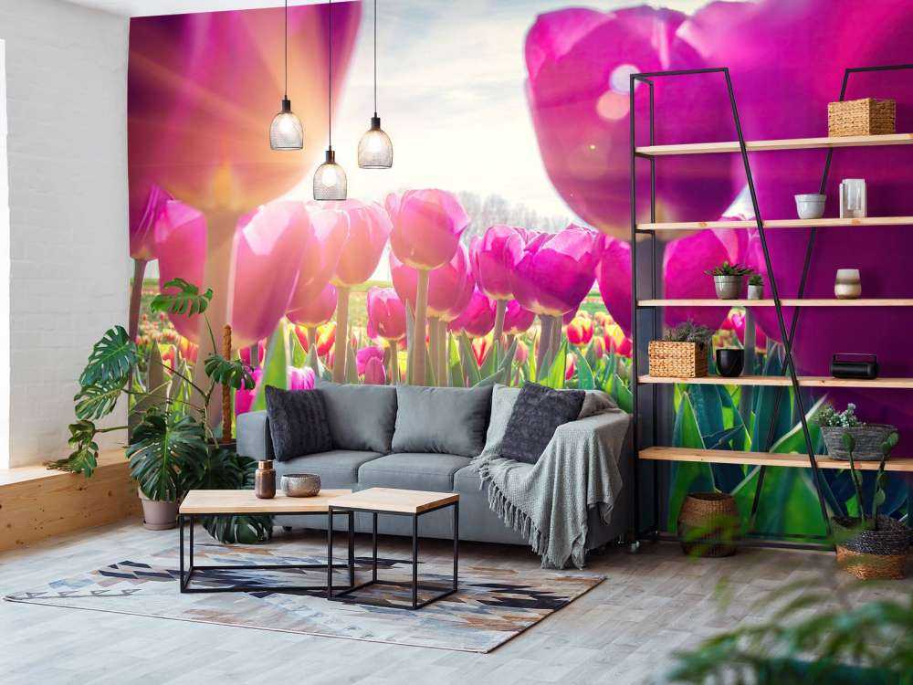 Tulpenveld roze