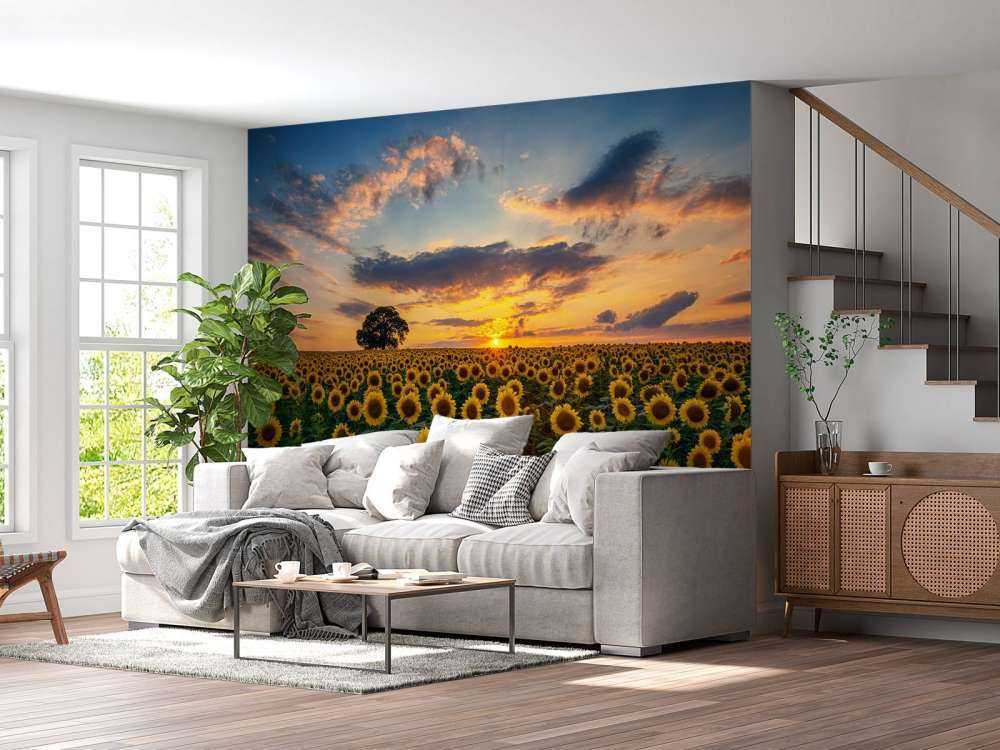 Veld vol zonnebloemen