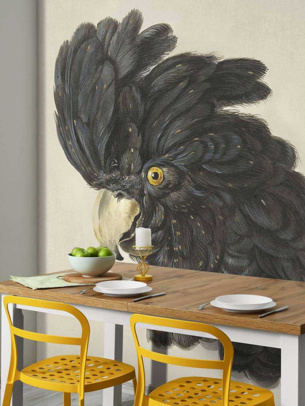 Black cockatoo portrait