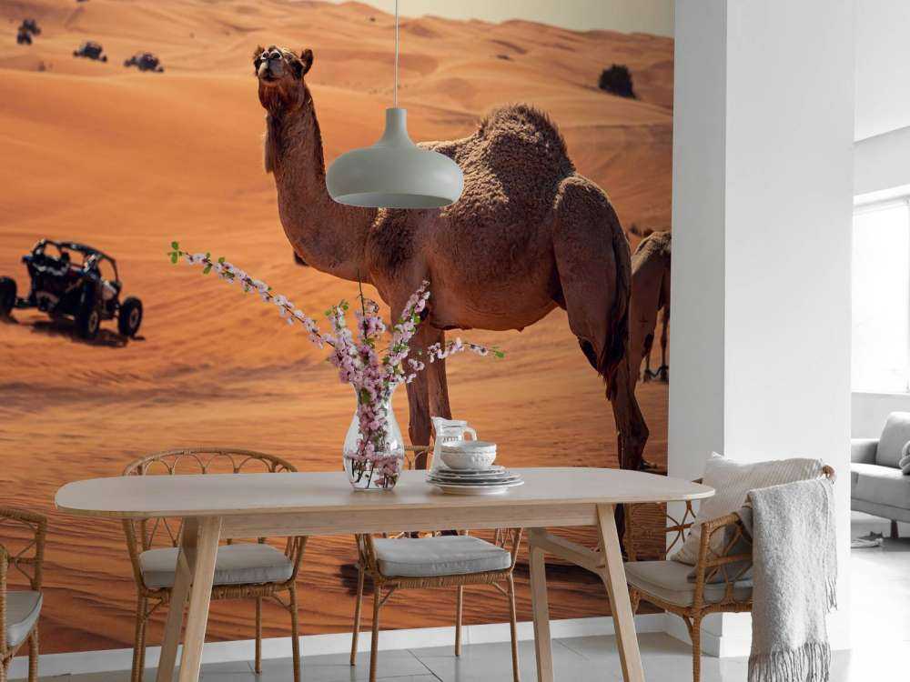 Offroad avontuur in de woestijn