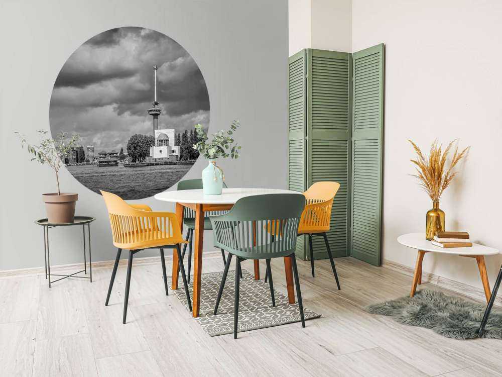 Euromast en Maas in Monochroom