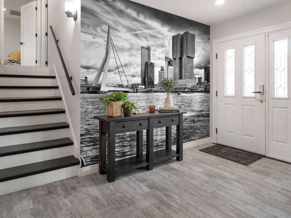 Erasmusbrug en Skyline in Monochroom