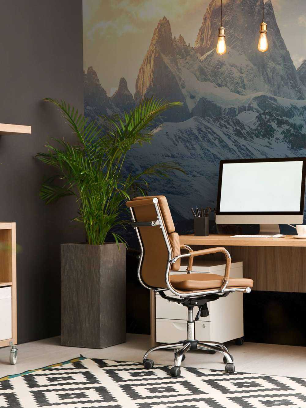 Guanaco voor besneeuwde patagonische bergtoppen