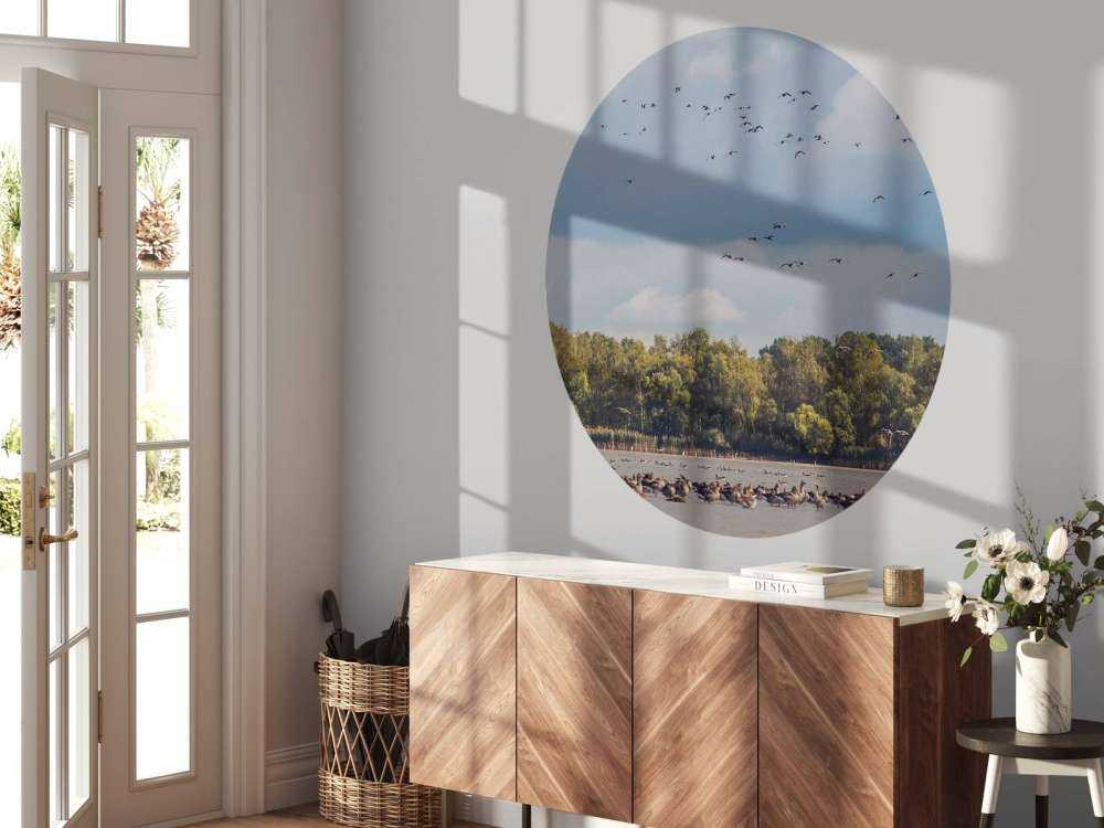 Vlucht over het Water