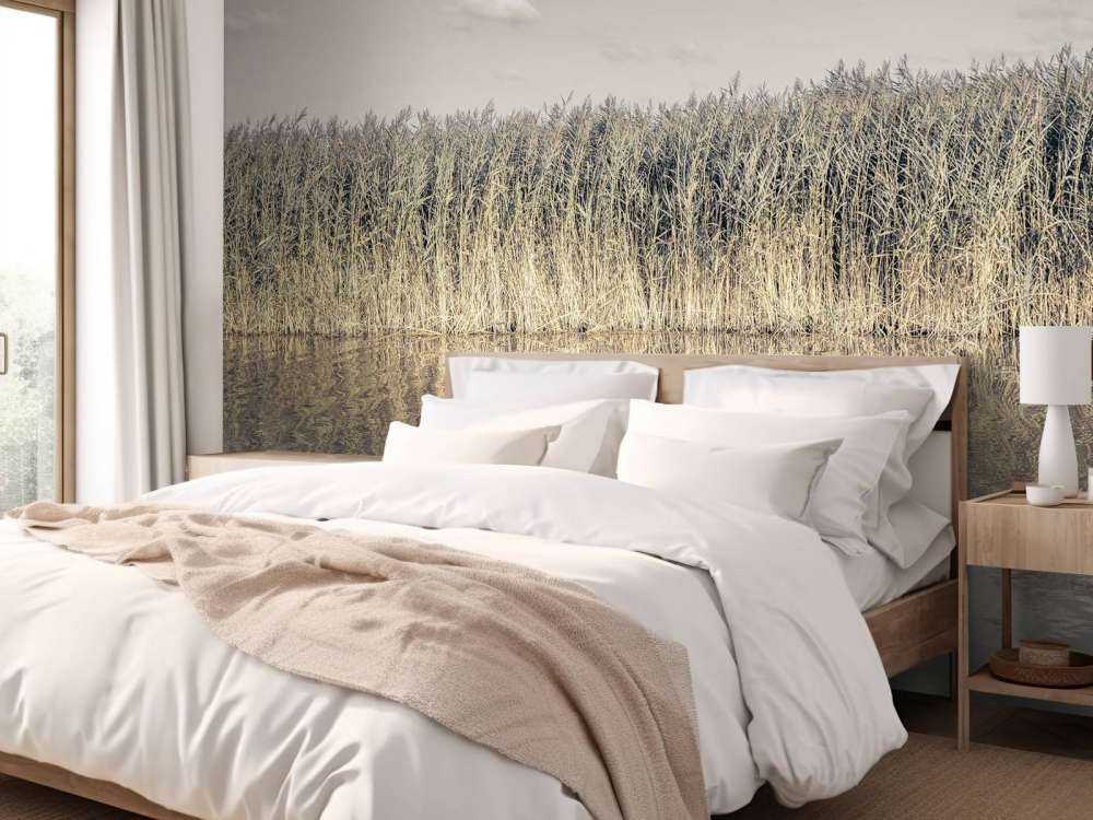 Tall reeds lining the banks of a calm canal