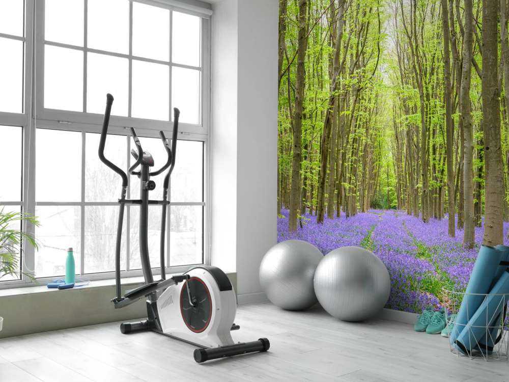 Bandensporen door het bos