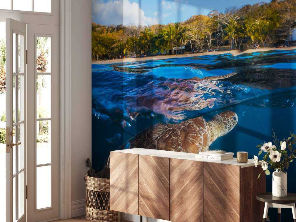 Green Turtle - Sea Turtle