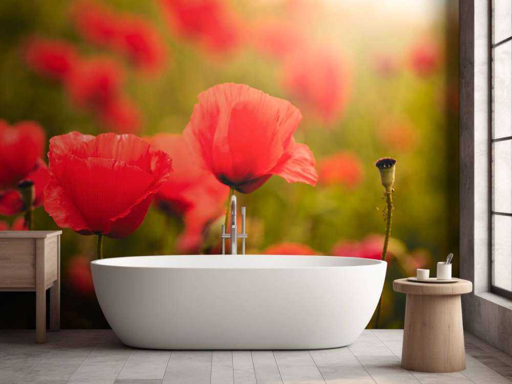 Klaprozen bij zonsopkomst