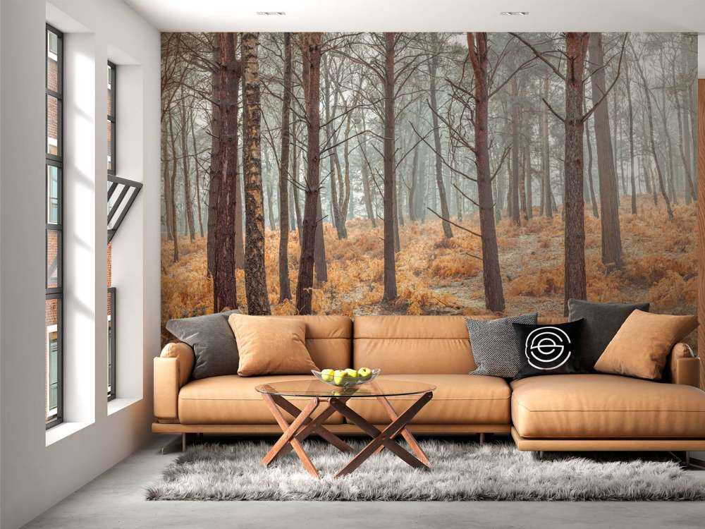 Bos tijdens de herfst